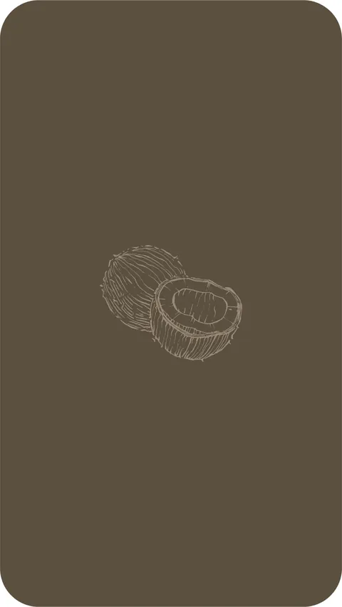 Illustration noix de coco